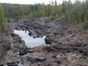 biodiv_08_1_fallforsen