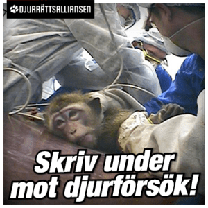 stoppa djurförsök