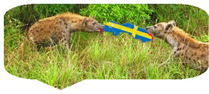 hyenorslåssommaten4