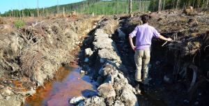 korskador-klovberget-986x500