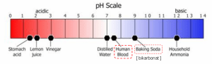 ph-scale-baking-soda