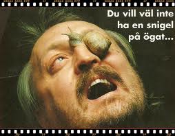 snigelpåögat