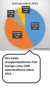 Det-svenska-elåret 2013-2