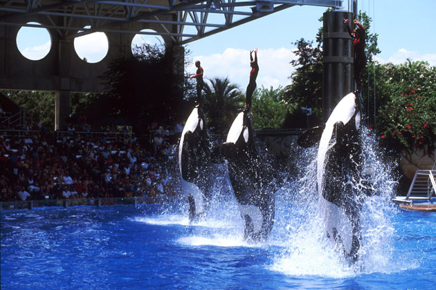 0719_seaworld_630x420