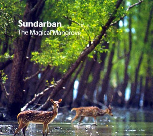 sundarban4