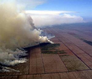 peatland_burning