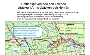 översikt - myr, hörnån