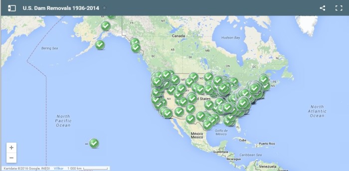 dammborttagning - USA