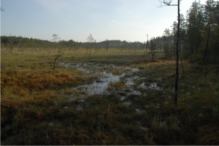 kurkmyran-PerHansson