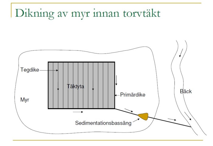 skiss-täkt-damm-bäck
