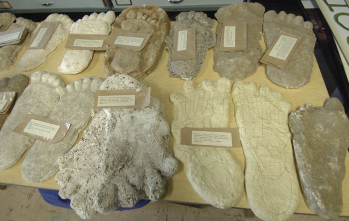 A large selection of Bigfoot footprint casts is shown at the Idaho Museum of Natural History, Sunday, June 11, 2006, in Pocatello, Idaho. The museum's Bigfoot exhibit opens Friday, June 15. (AP Photo/The Idaho State Journal, Bill Schaefer)